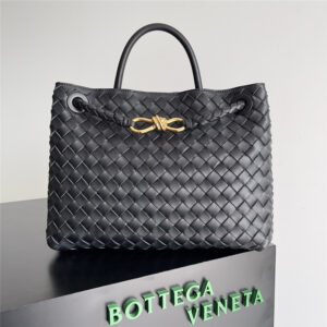 Bottega Andiamo Medium Bag in black