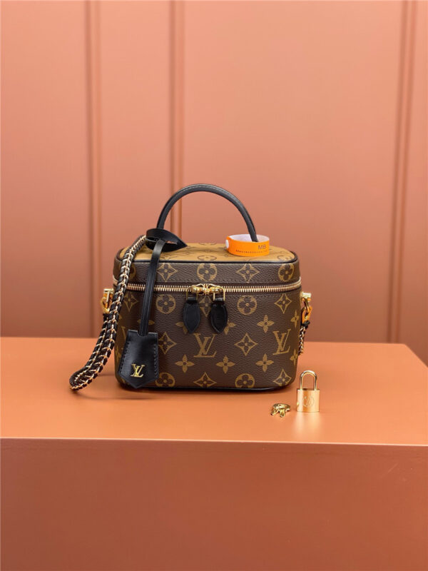 louis vuitton lv VANiTY bag - Image 4