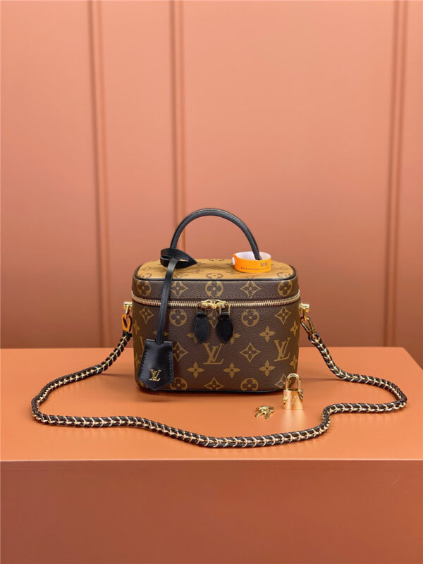 louis vuitton lv VANiTY bag - Image 5