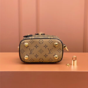 louis vuitton lv VANiTY bag