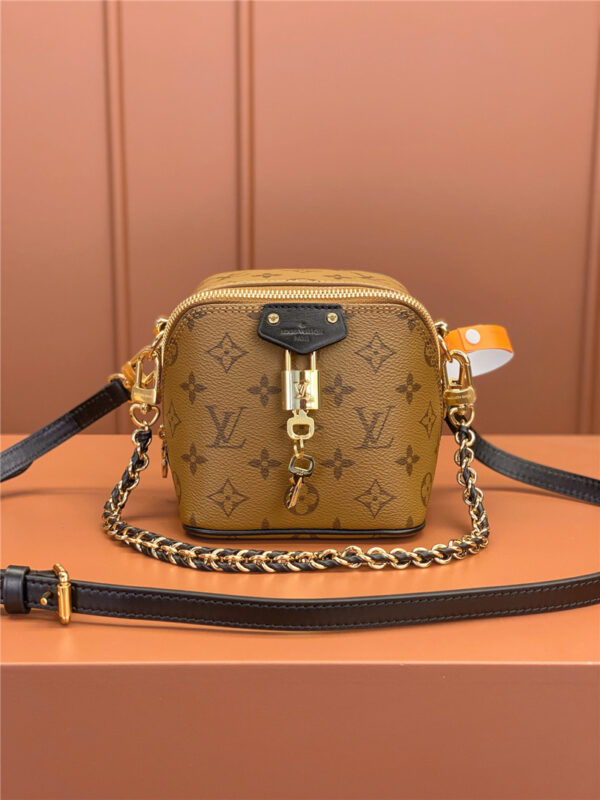 Louis Vuitton LV Just In Case Bag - Image 7