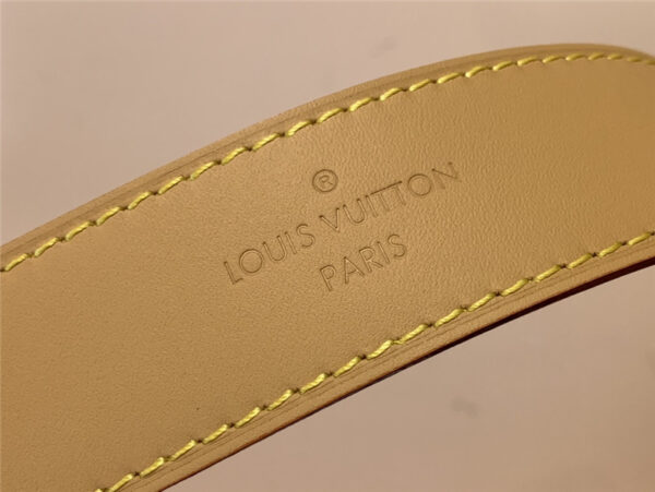 Louis Vuitton LV Carryall Denim PM Bag - Image 7