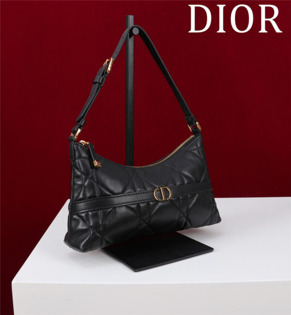 Dior 30 Montaigne Mini Shoulder Bag