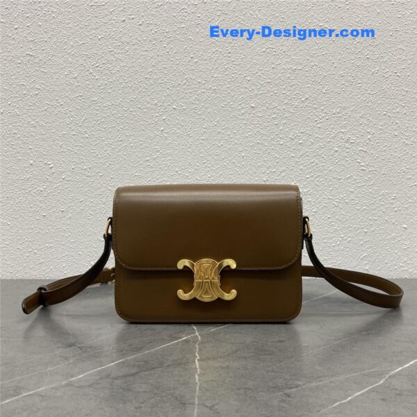 celine triomphe bag - Image 7
