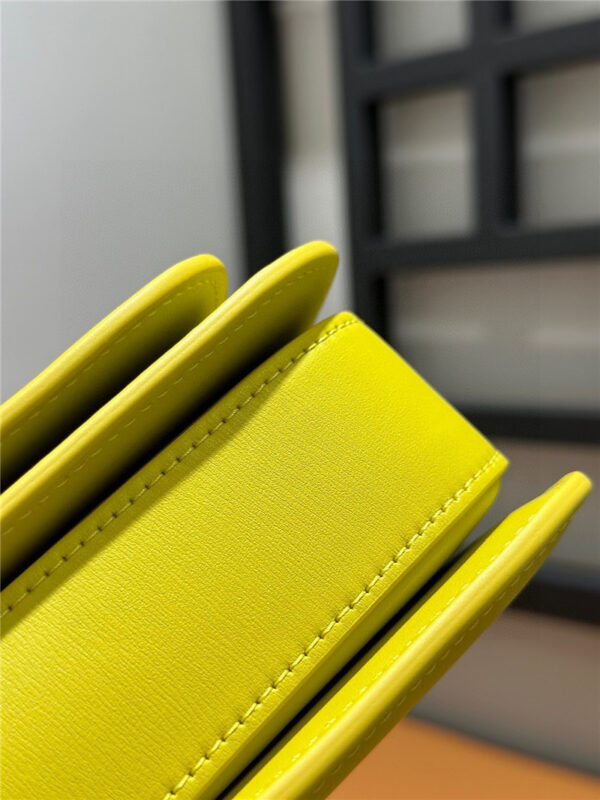 loewe goya bag - Image 2