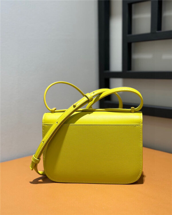 loewe goya bag - Image 7