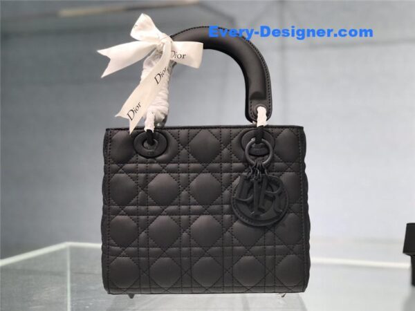 my abc lady dior bag - Image 2