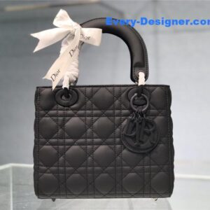 my abc lady dior bag