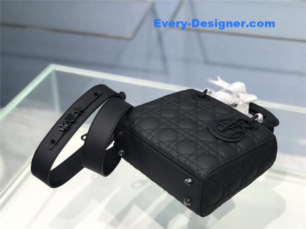 my abc lady dior bag - Image 4