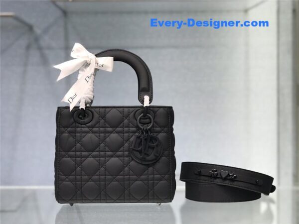 my abc lady dior bag - Image 5