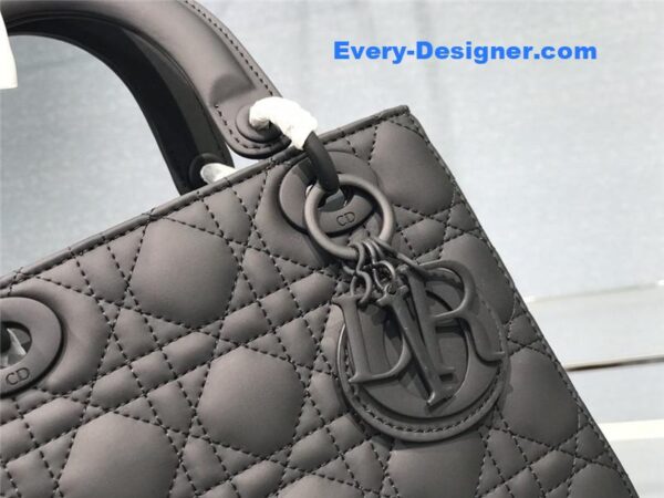 my abc lady dior bag - Image 6