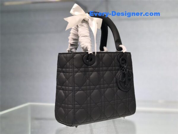 my abc lady dior bag - Image 7