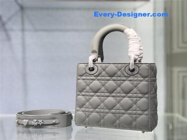 my abc lady dior bag - Image 4