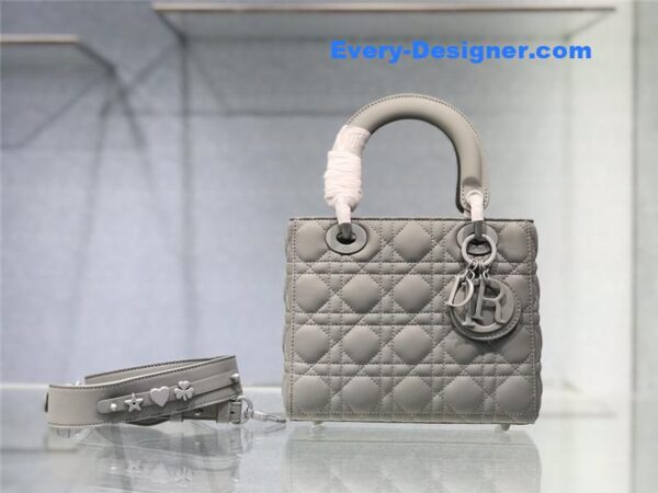 my abc lady dior bag - Image 2