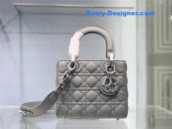 my abc lady dior bag - Image 6