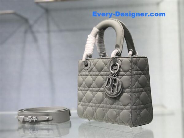 my abc lady dior bag - Image 7