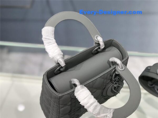 my abc lady dior bag - Image 8