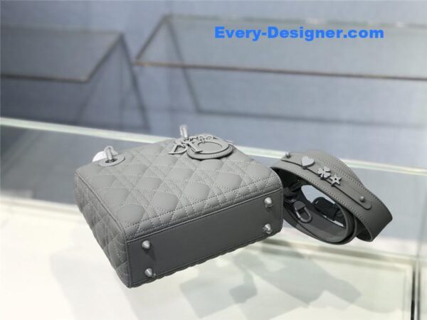 my abc lady dior bag - Image 3