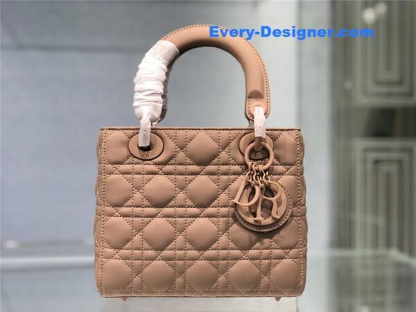 my abc lady dior bag - Image 2