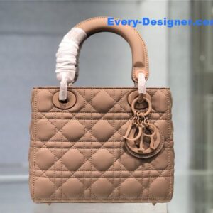 my abc lady dior bag