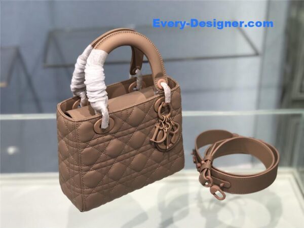 my abc lady dior bag - Image 3