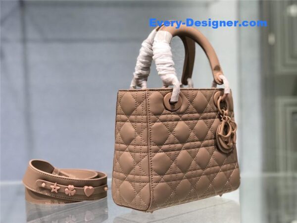 my abc lady dior bag - Image 4