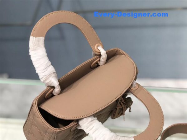 my abc lady dior bag - Image 5