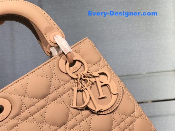 my abc lady dior bag - Image 8