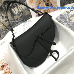 dior saddle bag large