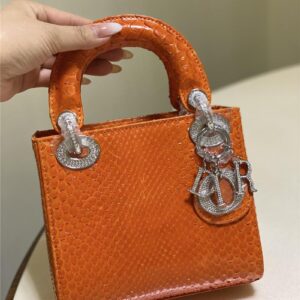 dior limited edition mini python leather lady bag