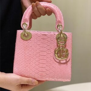 dior limited edition mini python leather lady bag