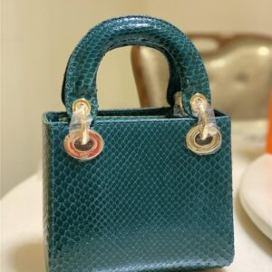 dior limited edition mini python leather lady bag