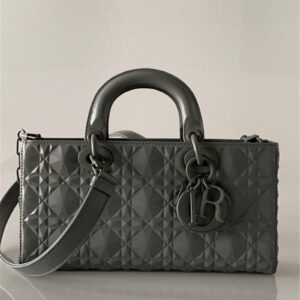 dior lady d-joy bag