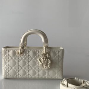 dior lady d-joy bag