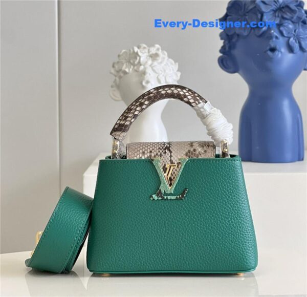 louis vuitton lv capucines mini bag green - Image 6