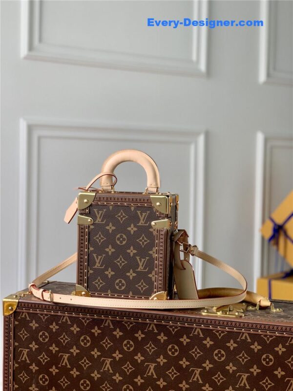 louis vuitton lv camera box bag - Image 5