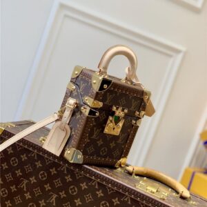 louis vuitton lv camera box bag