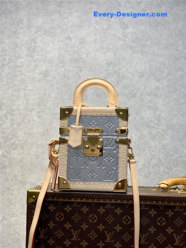 louis vuitton lv camera box bag - Image 2