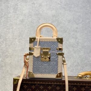 louis vuitton lv camera box bag