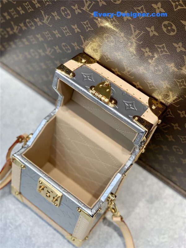 louis vuitton lv camera box bag - Image 4