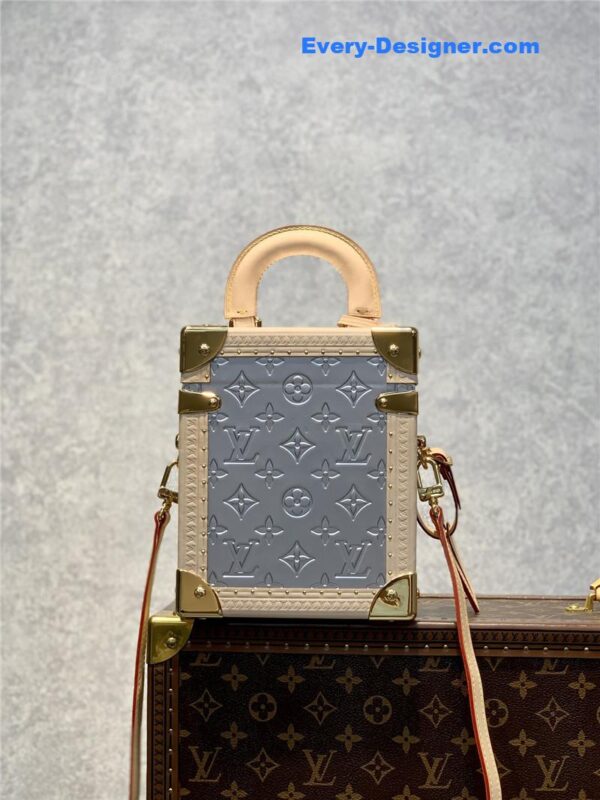 louis vuitton lv camera box bag - Image 6