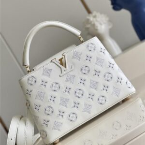 louis vuitton lv capucines BB embroidery bag