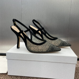 Dior Transparent Mesh Slingback Pump
